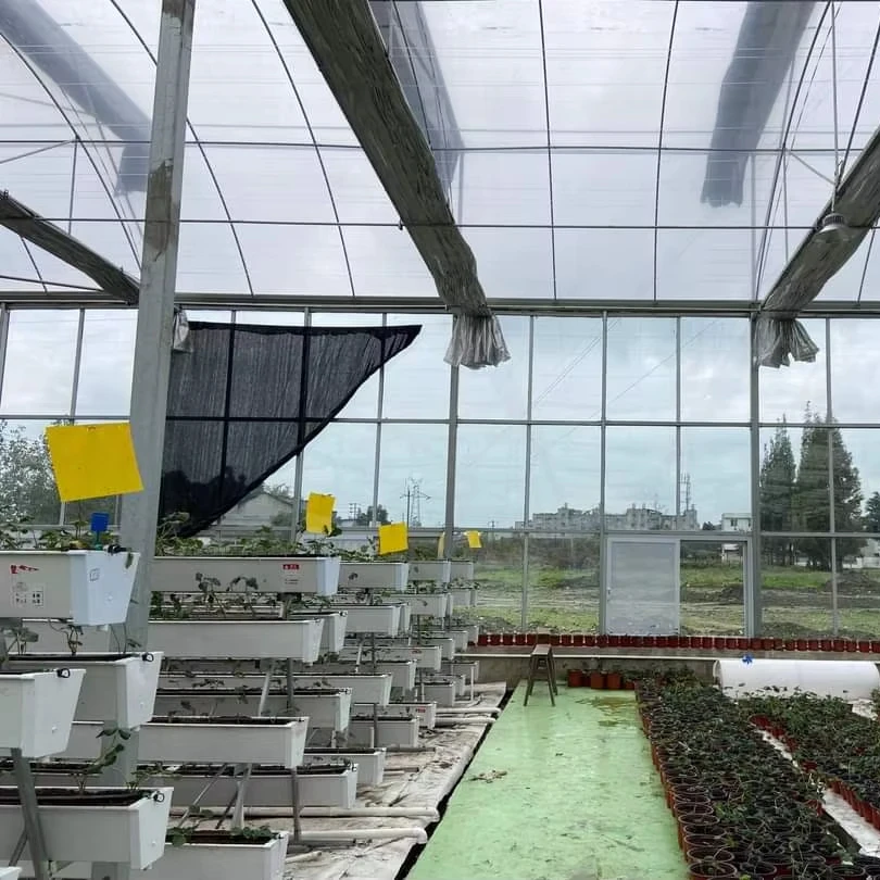 

Customized greenhouseAgricultural PO Film Greenhouse with Hydroponic System - Multi-Span Galvanized Steel Frame Greenhouse for V