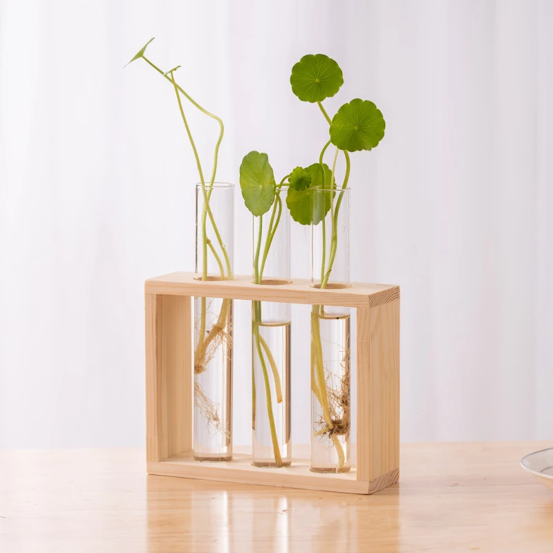 Hydroponic Plants Container with Wood Frame Transparent Glass Test Tube Vase Flower Pot Home Tabletop Bonsai Decorations Crafts