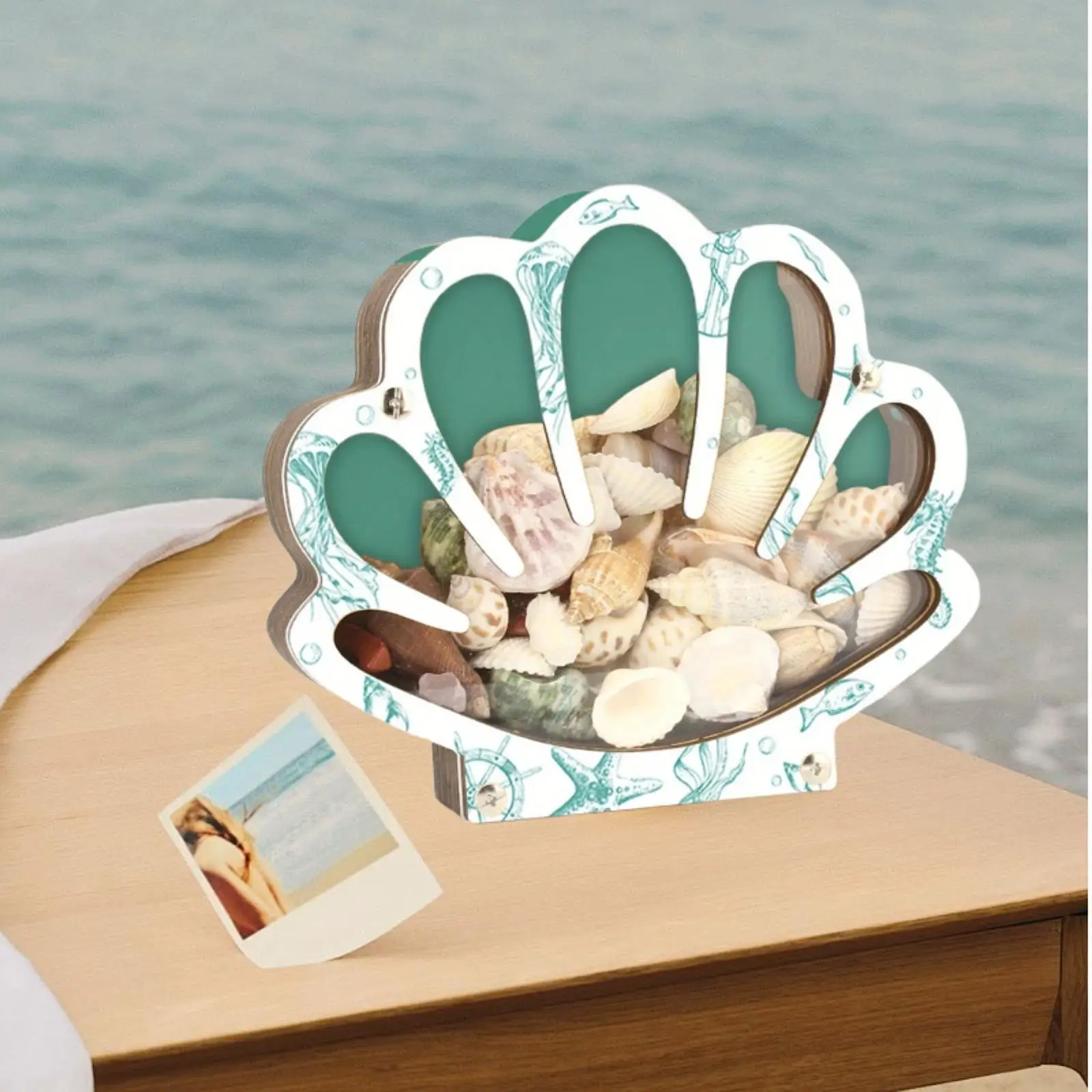

Shell Display Box Wooden Organizer Small Crafts Storage Container for Stones Seashells and Jewelry Display