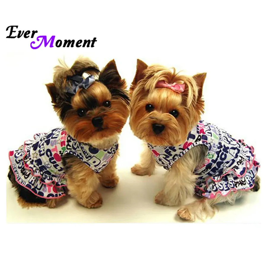 

Ever Moment животное полная квадратная алмазная живопись вышивка крестиком Алмазная вышивка собака мозаика фотографии вышитые ASF628