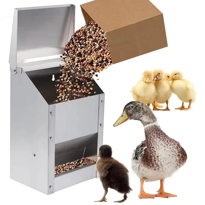 

Large Capacity Automatic Chicken Feeder Stainless Steel Chicken Feeding Trough Poultry Feeding Trough
