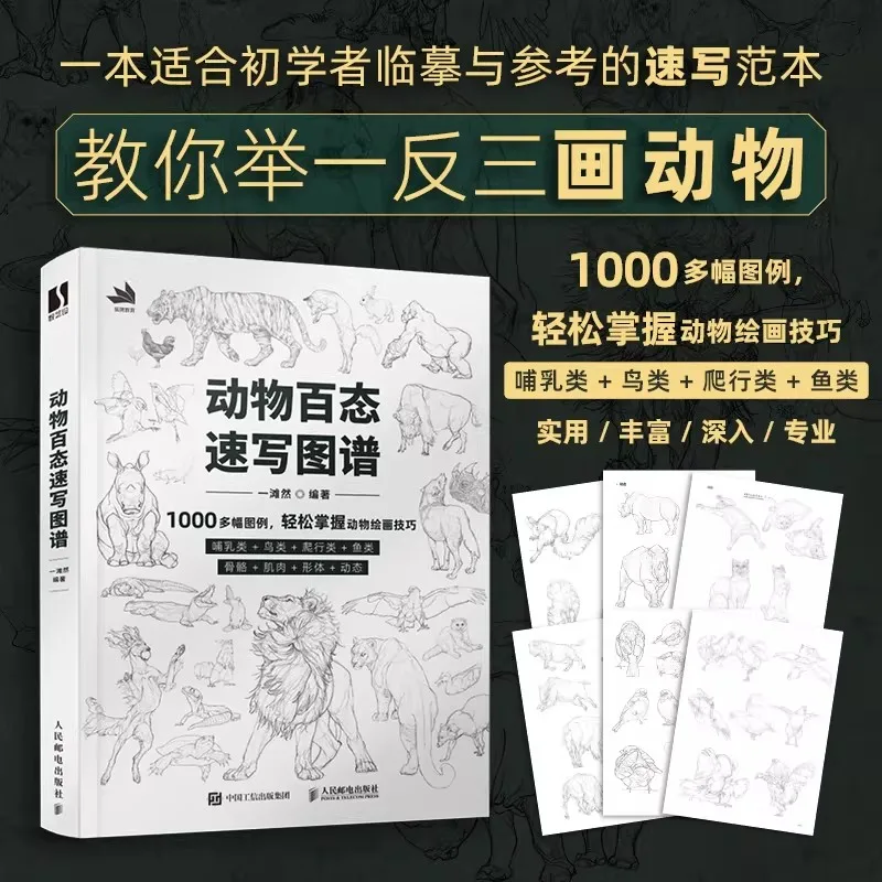 Animal States Quick Sketch Map Over 1000 Illustrations Easy Master Drawing Skills Guide Book for Artists Beginners