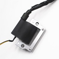 1Pc Ignition Coil For Suzuki DS80 RM50 SP370 DR370 SP400 TS100 TS125 DS125 GN400