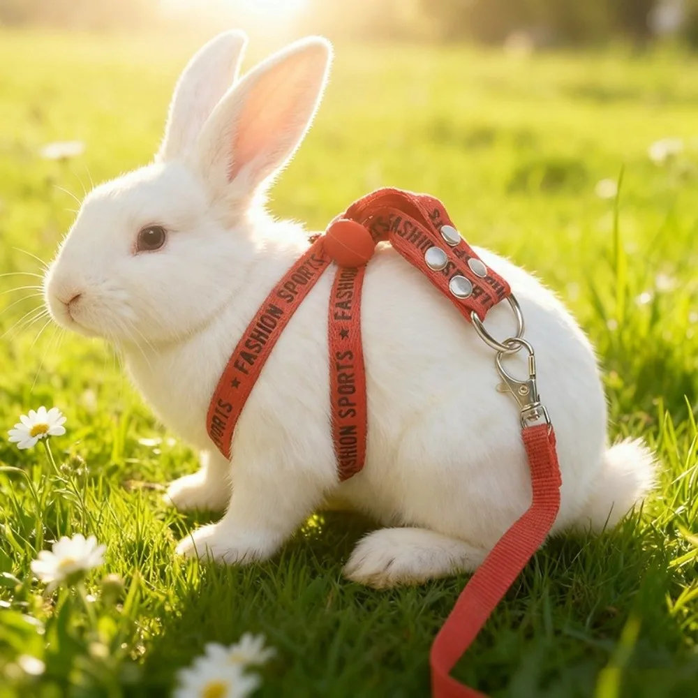 Portable Adjustable Rabbit Towing Rope Escape Proof Comfortable Ferret Harness Leash Soft Ferret Anti Loss Rope Travel - view 5