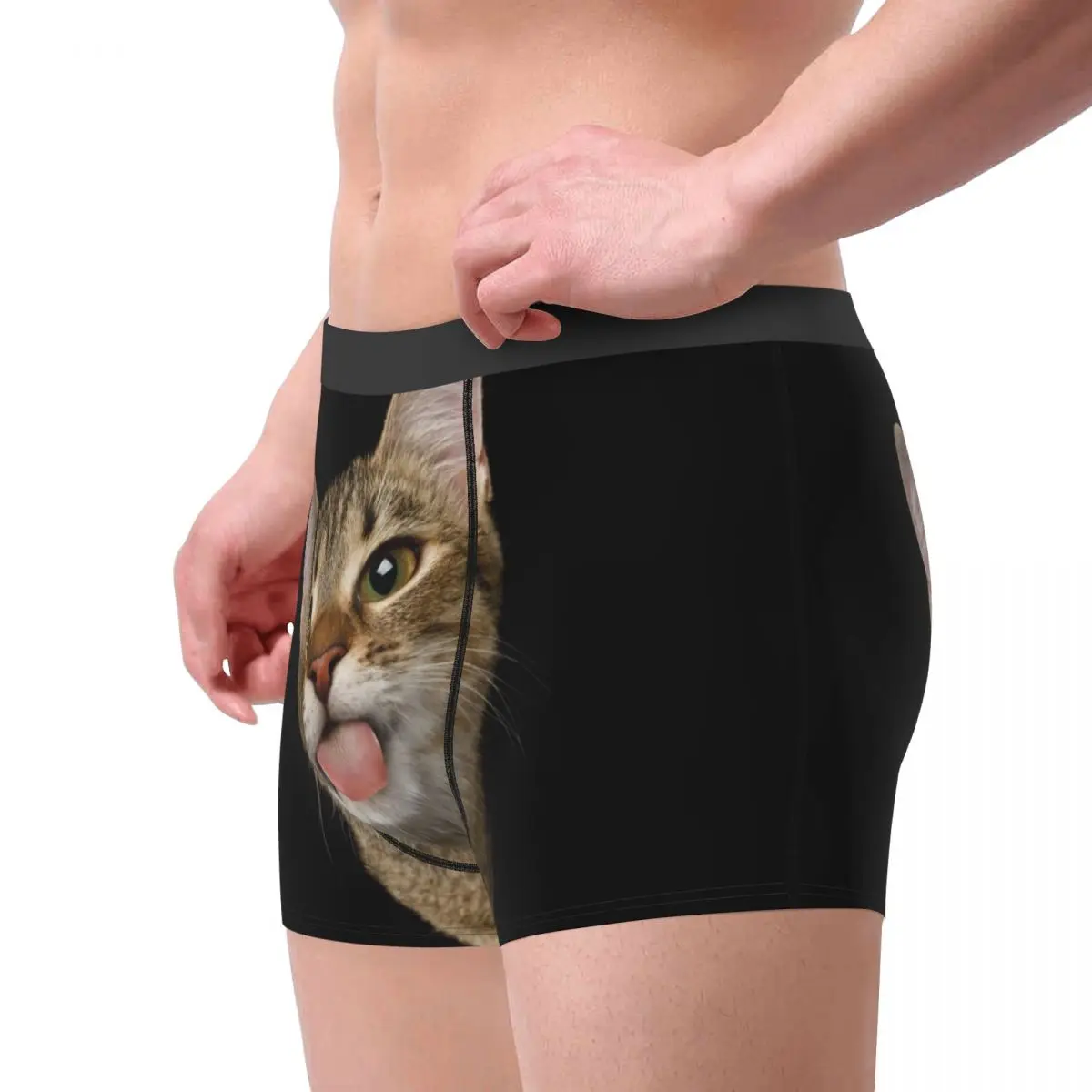 Men Portrait of Domestic Cat Underwear Cute Kittens Printed Boxer Briefs Shorts Panties Male Breathable Underpants Plus Size