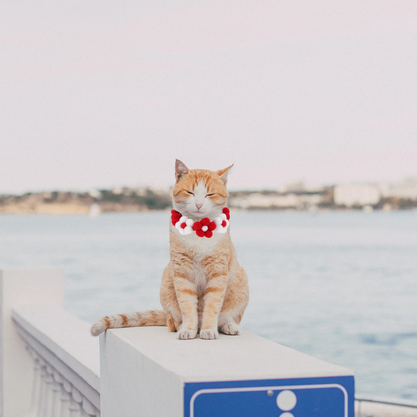 

Pet Collar Costume Dog Knitted XS Size Light Weight Adjustable Yarn Scarf Supplies H made Cat Fashionable collar