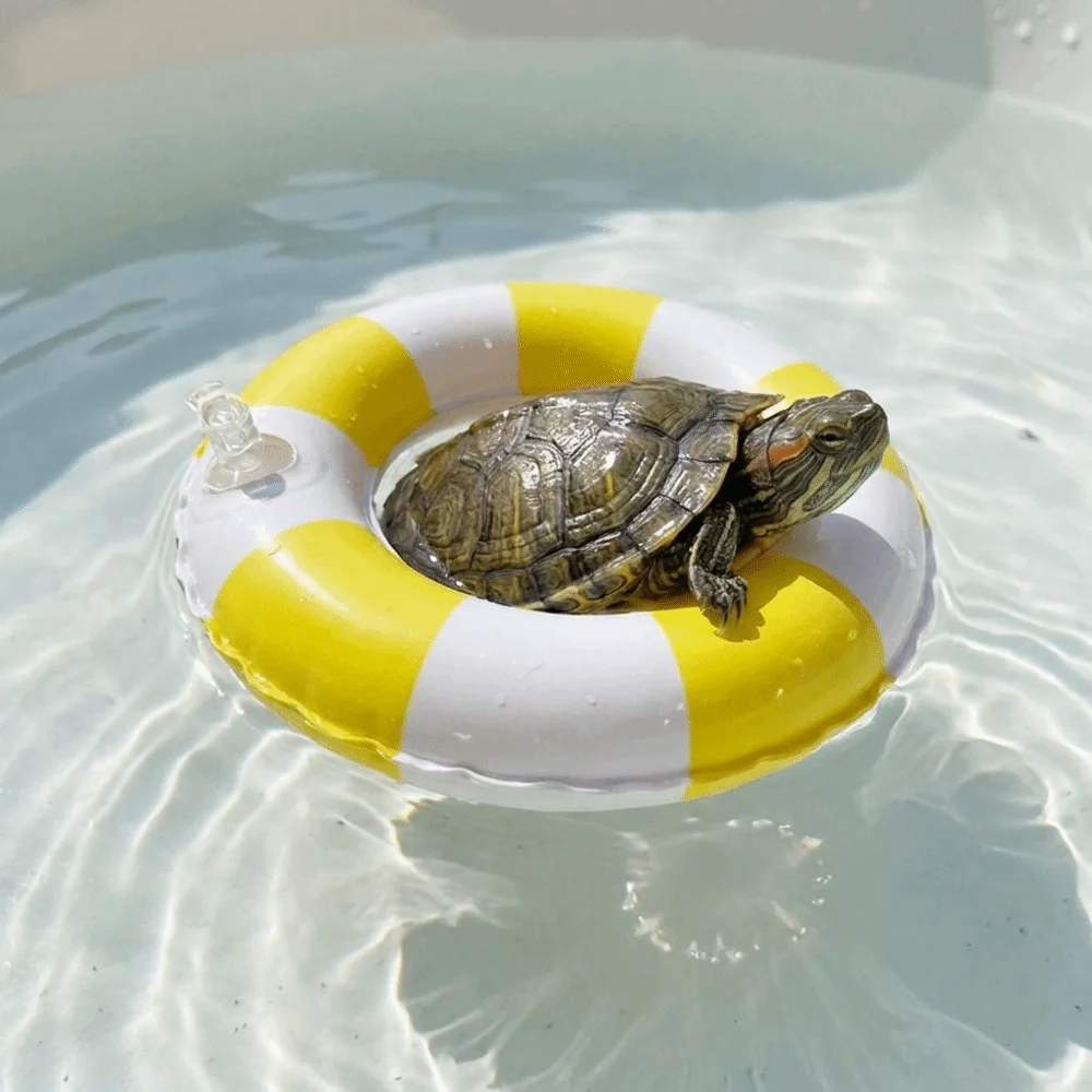 Accessories Mini Swimming Pool Float Ring Floating Inflatable Inflatable Fun Floating Swimming Pool