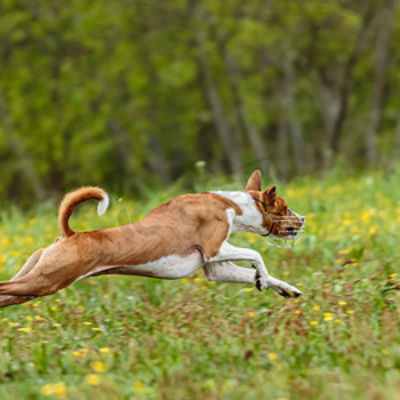 

Metal Swing Arm Steering Cup Hub Carrier Shock Tower Set for HS 14321 14322 14421 14431 JJRC C8802 1/14 RC Car Upgrade Parts