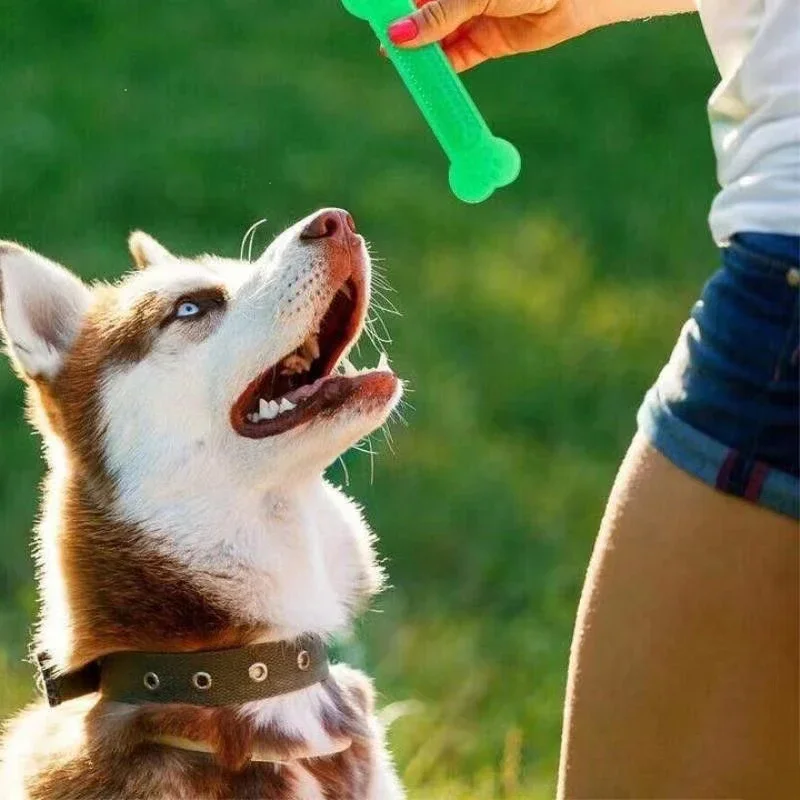 Juguete para masticar hueso de perro súper resistente, arcoíris para masticadores agresivos, limpieza de dientes de cachorro, Clicker de entrenamiento azul, entrenamiento de obediencia al aire libre, Traini