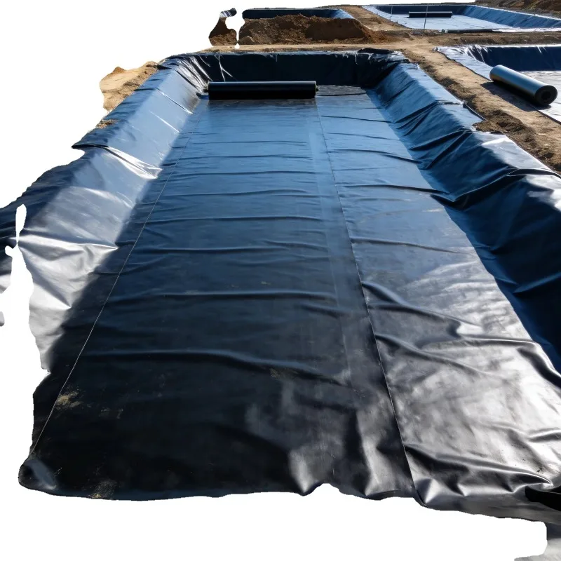 Industrial Strength HDPE Geomembrane Liner Customized for Pond Canal Landfill Mining and Wastewater Projects Worldwide