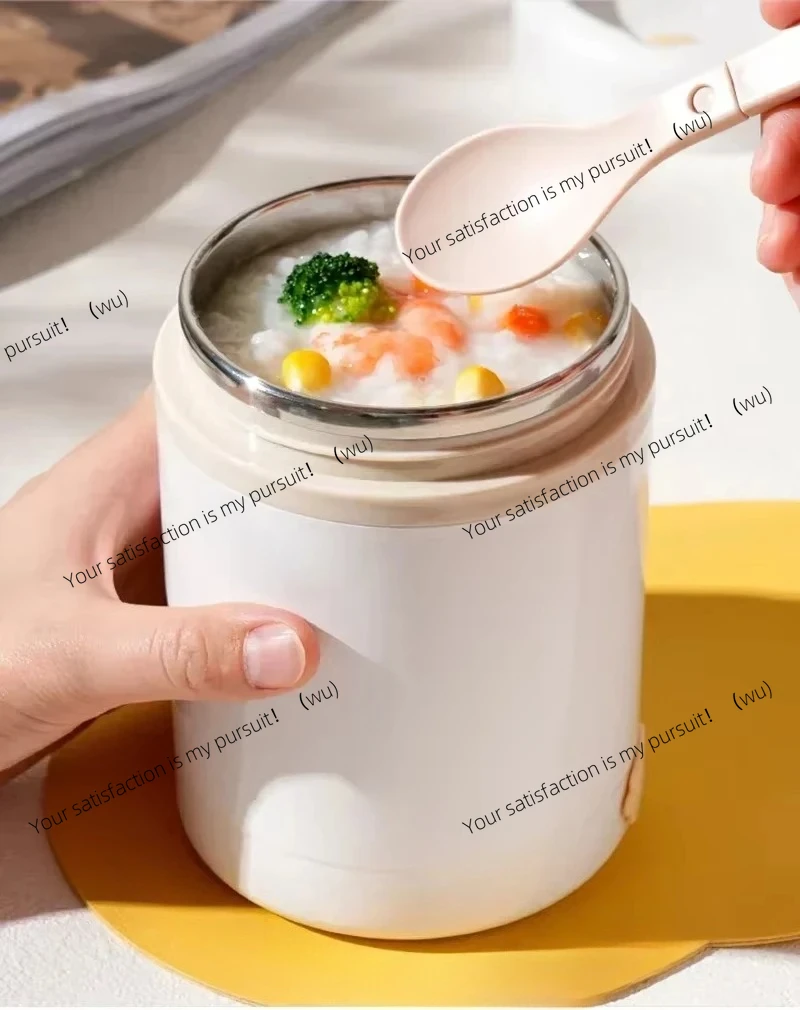 

600ML USB Electric Heating Lunch Box Portable Picnic Milk Drink Food Heater Stainless Steel Food Warmer Container 5V 12V 24V