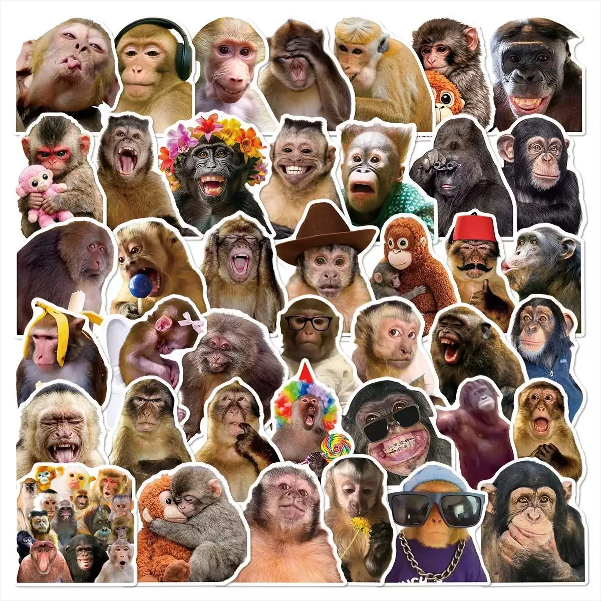 50 Adesivos de Memes de Macaco Orangotango, Adesivos Engraçados de Desenhos Animados, Adesivos Decorativos para Copos, Guitarras, Malas e Capas de Celular