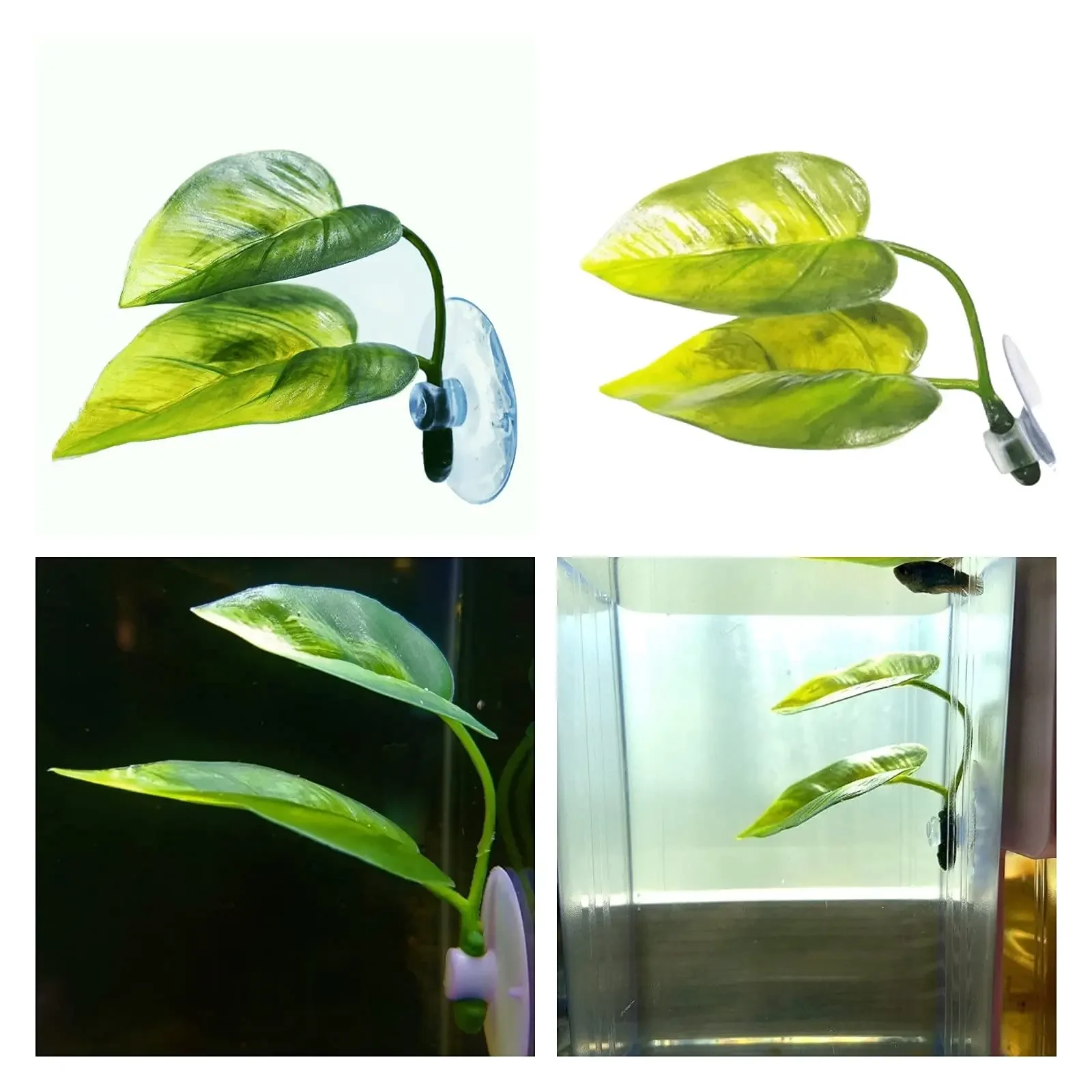 Thumbnail 3 - #15 Best Decorative Aquarium Plants to Buy In 2026