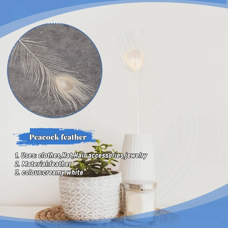 50 PCS/Natural White Peacock Feathers In The Eye, 10 To 12 Inches Of The Peacock Feather Wedding Decoration