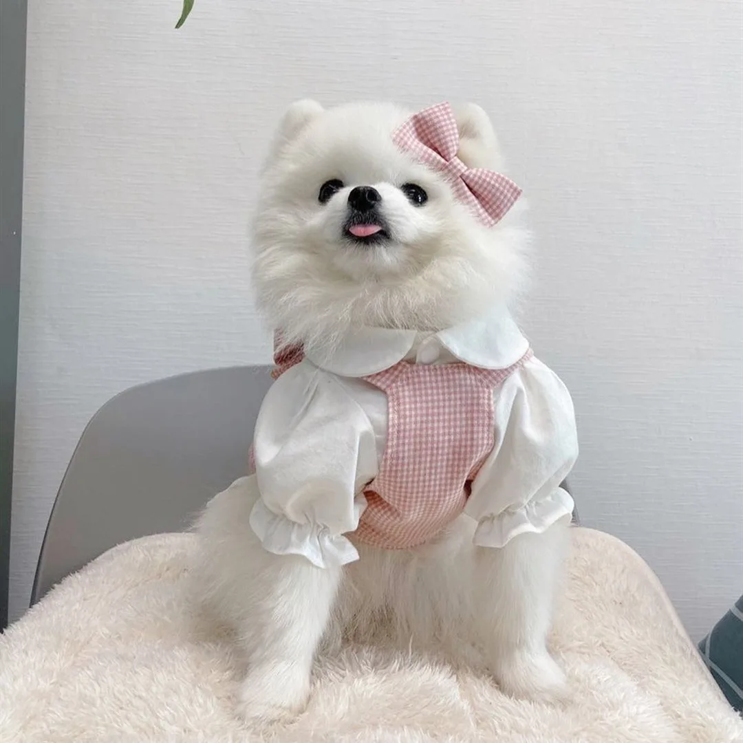 Fashion INS Designer Dog Fashion Princess Pink Grid Bow Tie Suit Skirt Lace Tie Dog Skirt Cute Comfortable Shirt For Small Dogs