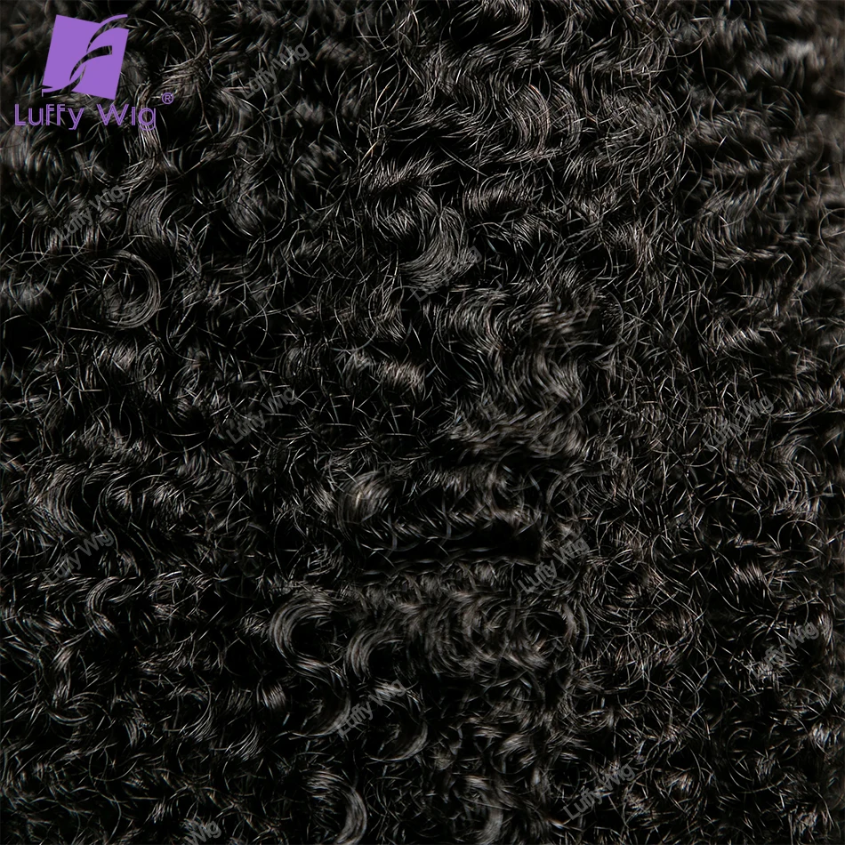 Extensiones de cabello humano de Pu sin costuras para mujeres negras, cabello Remy mongol Real 4b 4c, Afro rizado, Clip de Pu, 100g, Luffy