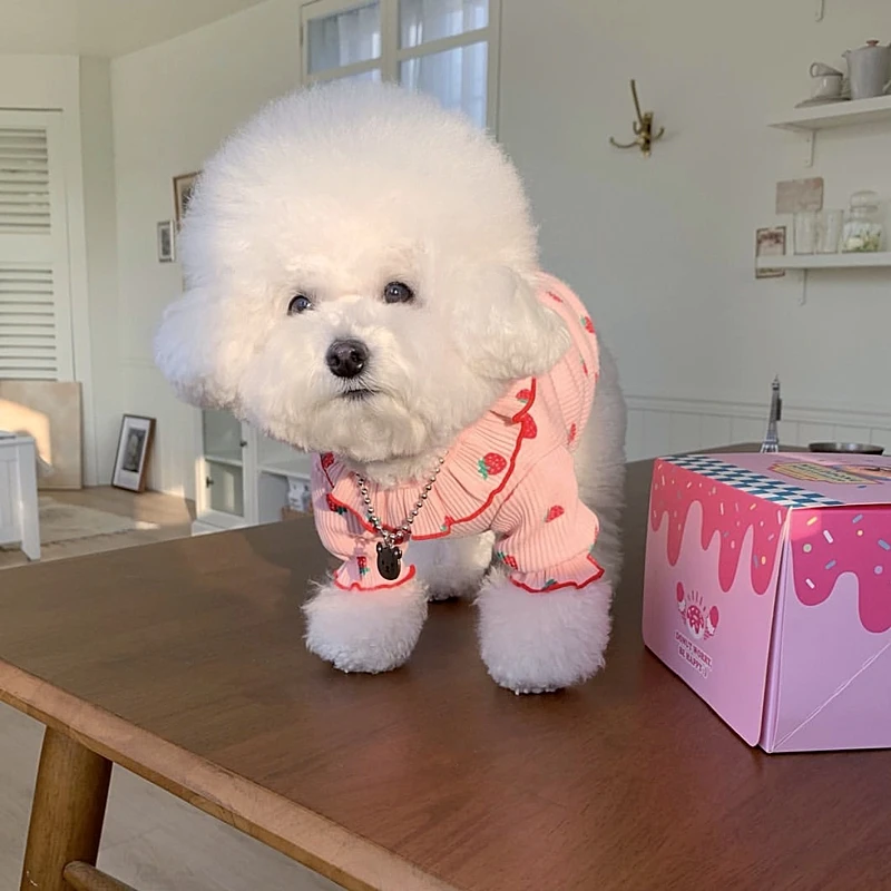 Autumn Pet Strawberry Bottoming Shirt Teddy Thermal Vest Poodle Fruit Clothes Puppy Soft Two Leg Clothes XS-XL