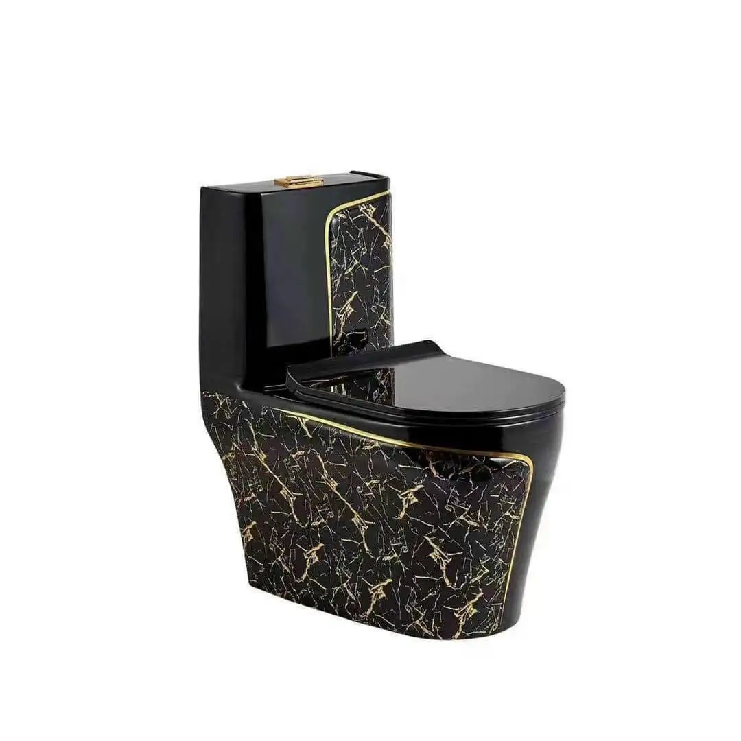 Luxury One Piece Floor Mounted Dual-Flush Ceramic Toilet with Gold Black Finish