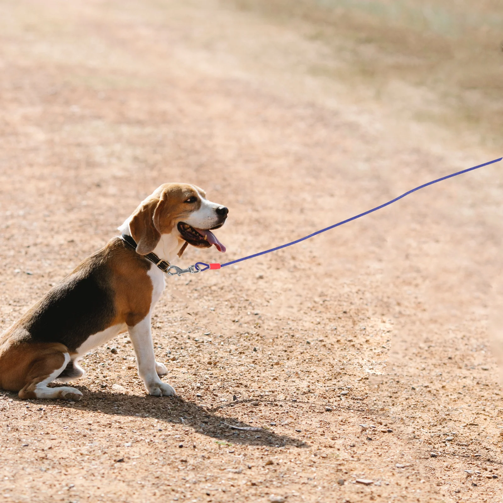 

Pet Dog Running Chain Double Metal Hook Wear Resistant Steel Wire Rope Bright Color Camping Gear Dog Tie Out Cable