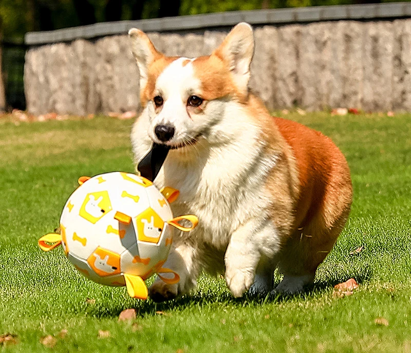 Dog Football Toy Bite-Resistant Molar Border Collie Toy Training Special