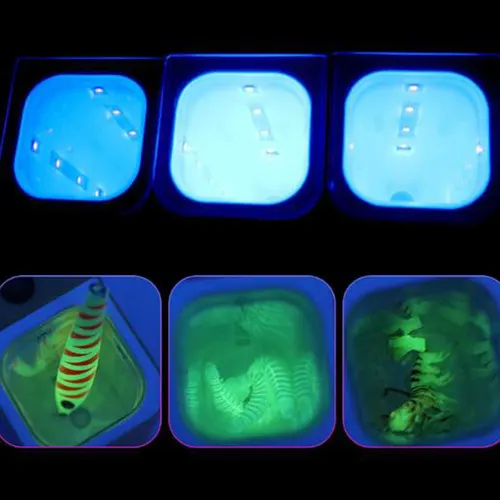 Imagen 2 del producto Plantilla acumuladora de encendedor UV, cebo blando, Flash LED que brilla en la oscuridad, aparejos de pesca, cargador de luz de calamar para pesca en el mar