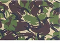 Romanian Camo