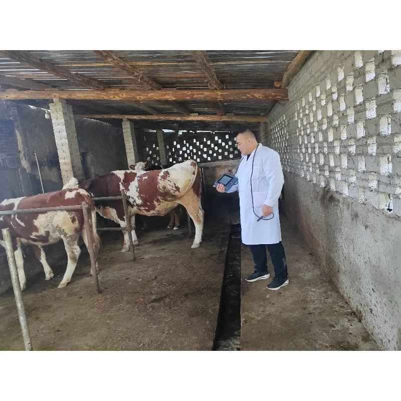 الموجات فوق الصوتية الطبية المحمولة الرقمية الكاملة المحمولة صغيرة الحجم الأجهزة الموجات فوق الصوتية البيطرية الطبية