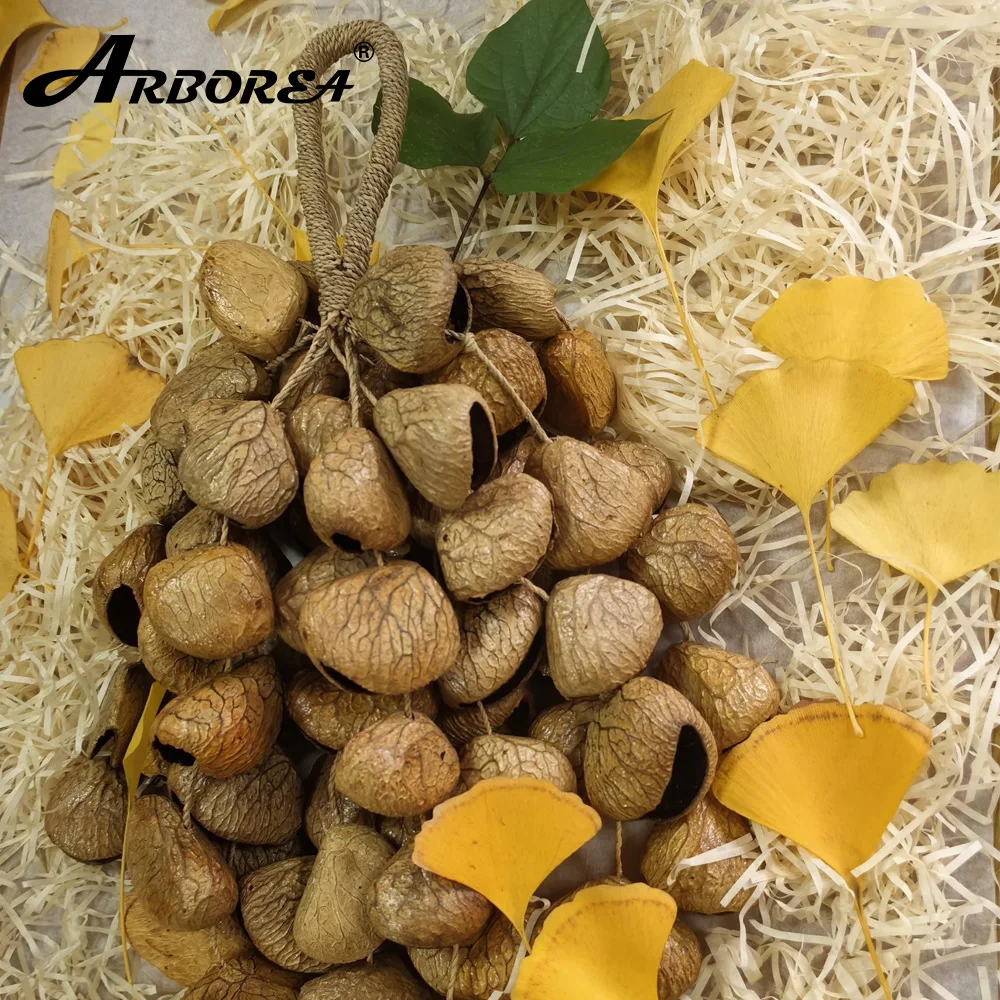 

Arborea Sound Healing Seed Shell Chimes Ju Ju/Cha Cha/Pangi Natural Plant Fruit Musical Hand bell Percussion Accessories