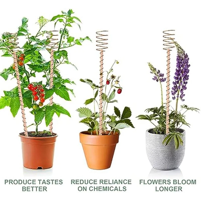 Piquets de plantes d'électroculture, longs piquets en cuivre, divulguer à bobine de cuivre d'électroculture pour jardin Lauren, 10 pièces, 13.5 pouces
