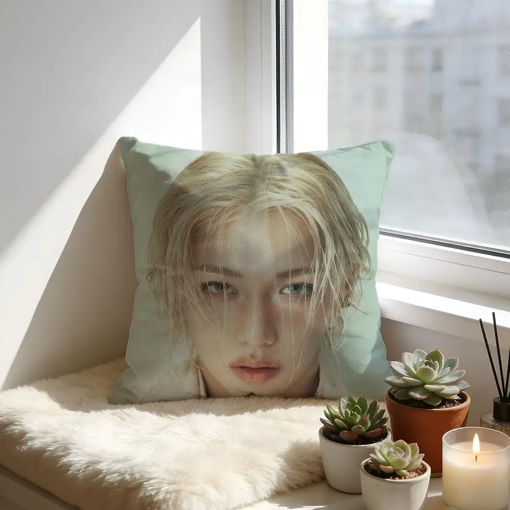 

Felix Cushion Cover Cozy Velvet Throw Pillow,Soft Warm Cushion For Sofa & Bed