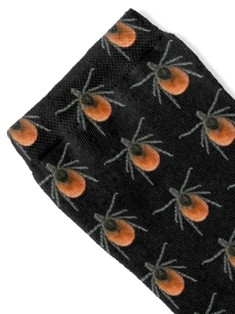 Tick Socks designer hiphop christmas stocking Stockings Men's Socks Luxury Women's