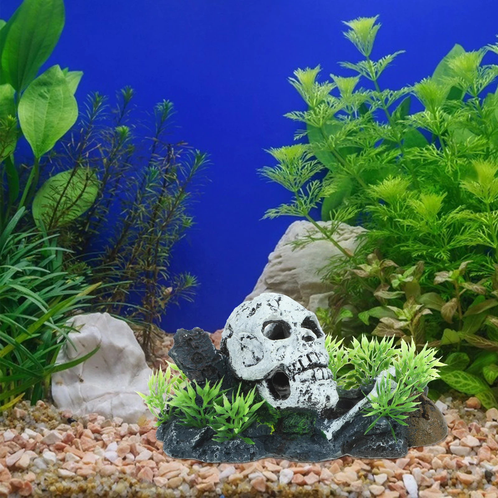 

Skull Decoration Fish Tank Small Desktop Aquarium Landscape Ornament Underwater Plant Wear-resistant Vivid Image Visual Effect