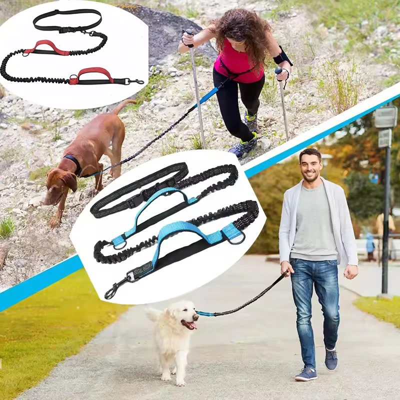 Dual Dog Leash 5