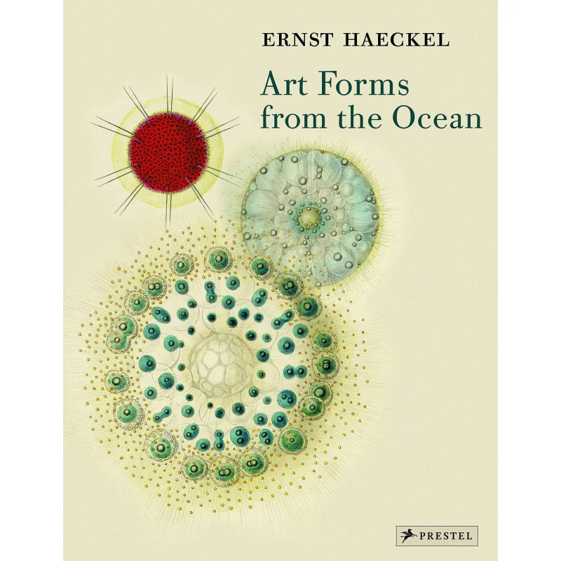 

Художественные формы из океана. Радиолетные принты Ernst Haeckel Olaf Breidbach Prestel Publishing 9783791333274. Книга.