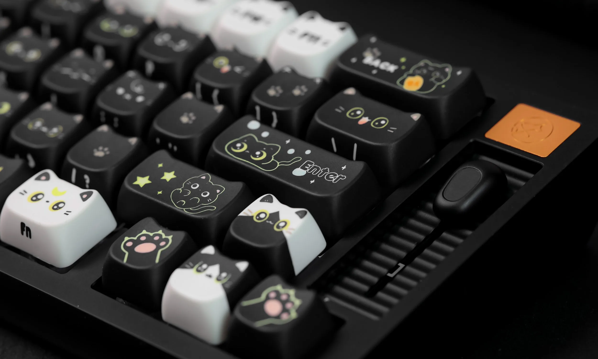 Рисунок 5 - Черный кот PBT Keycap 5-сторонний