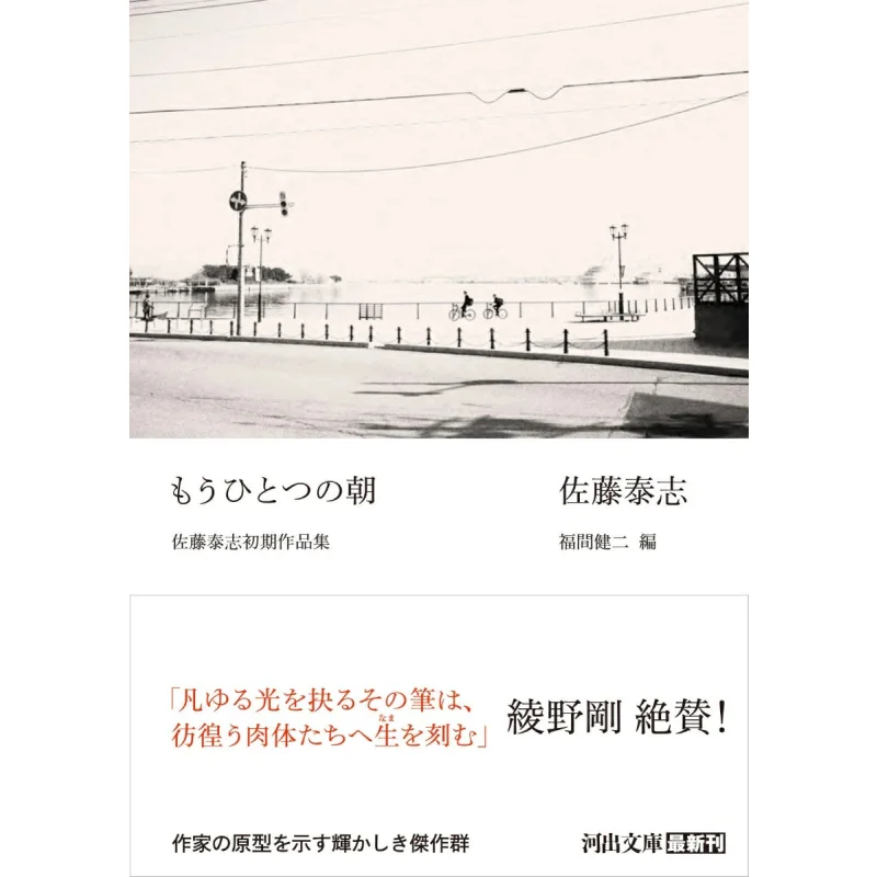 

Ранние произведения Yasushi Sato Yasushi Sato Kawade Shobo Shinsha 9784309421278, книга