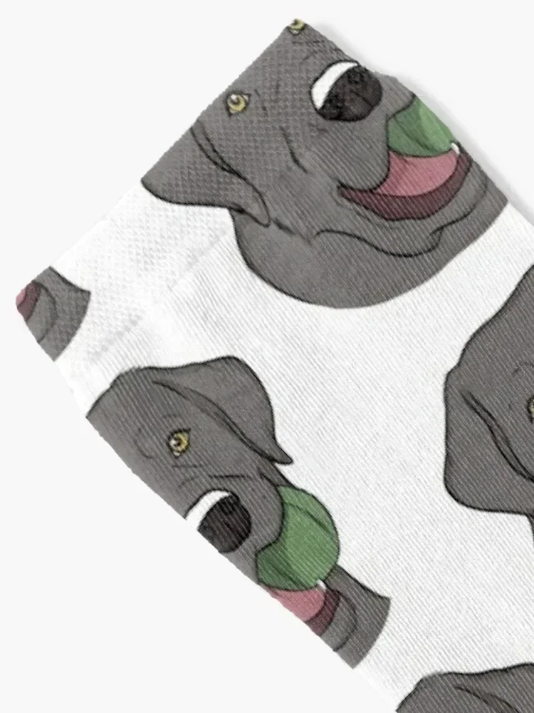 Silver Labrador with Ball Socks cotton Children's happy kids Men's Socks Luxury Women's