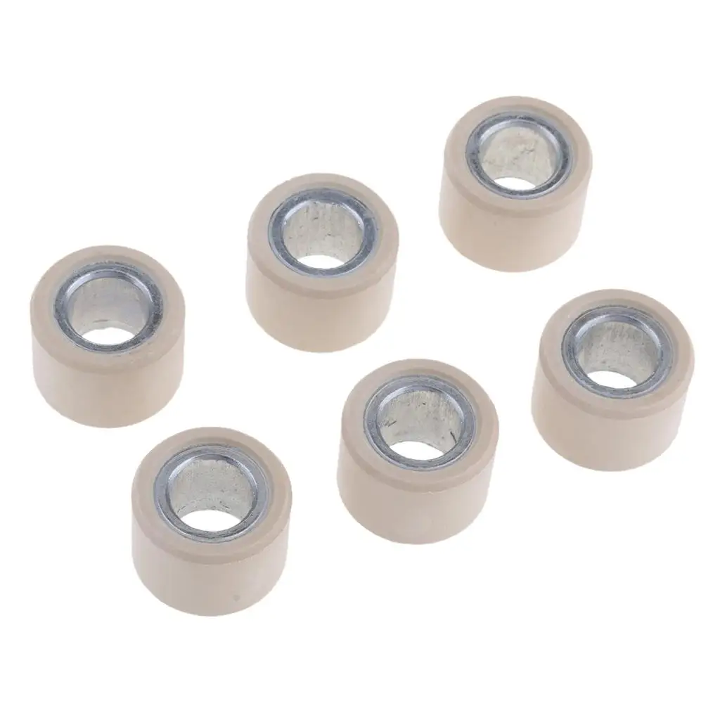 Performance Set Variator Roller Weights 24.5G 23.8x18 for CF250 / 0