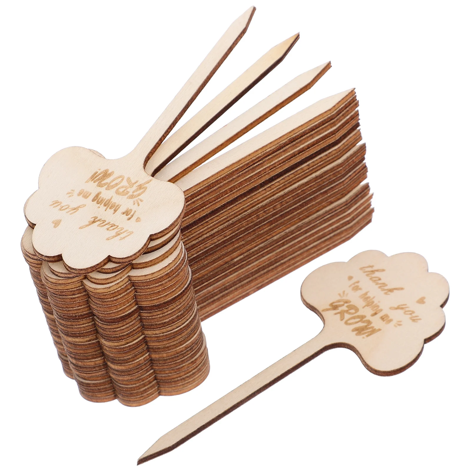 

25Pcs Bamboo Garden Markers Writable Wooden Plant Tags for Succulents Herbs Flowers Teacher Thank You Stakes Succulent Tags