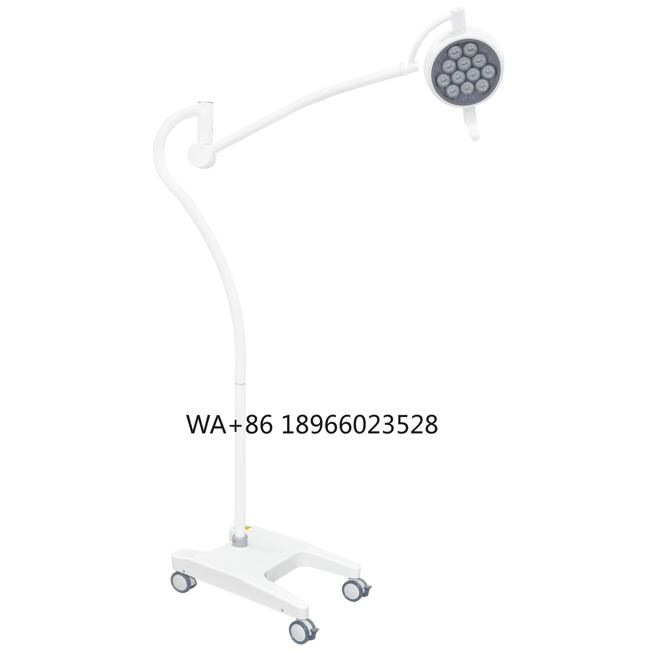 LED Examing Lamp (AC/DC) 12 bulbs Mobile Medical Theatre Lamp for Examination and Operation Lighting