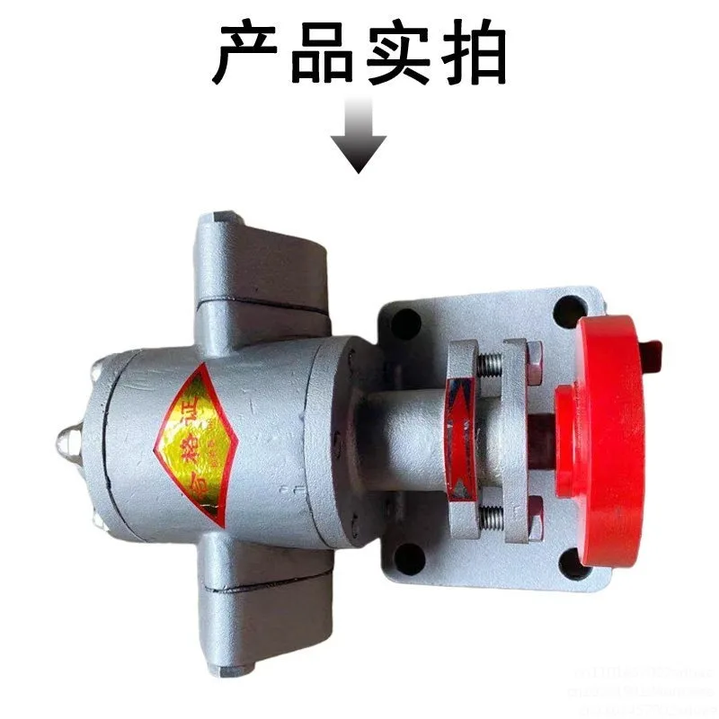 KCB Series Stainless Steel Edible oil Transfer Gear Pump Head Model KCB- 18.3/33/55 Food Grade Oil Pump Head
