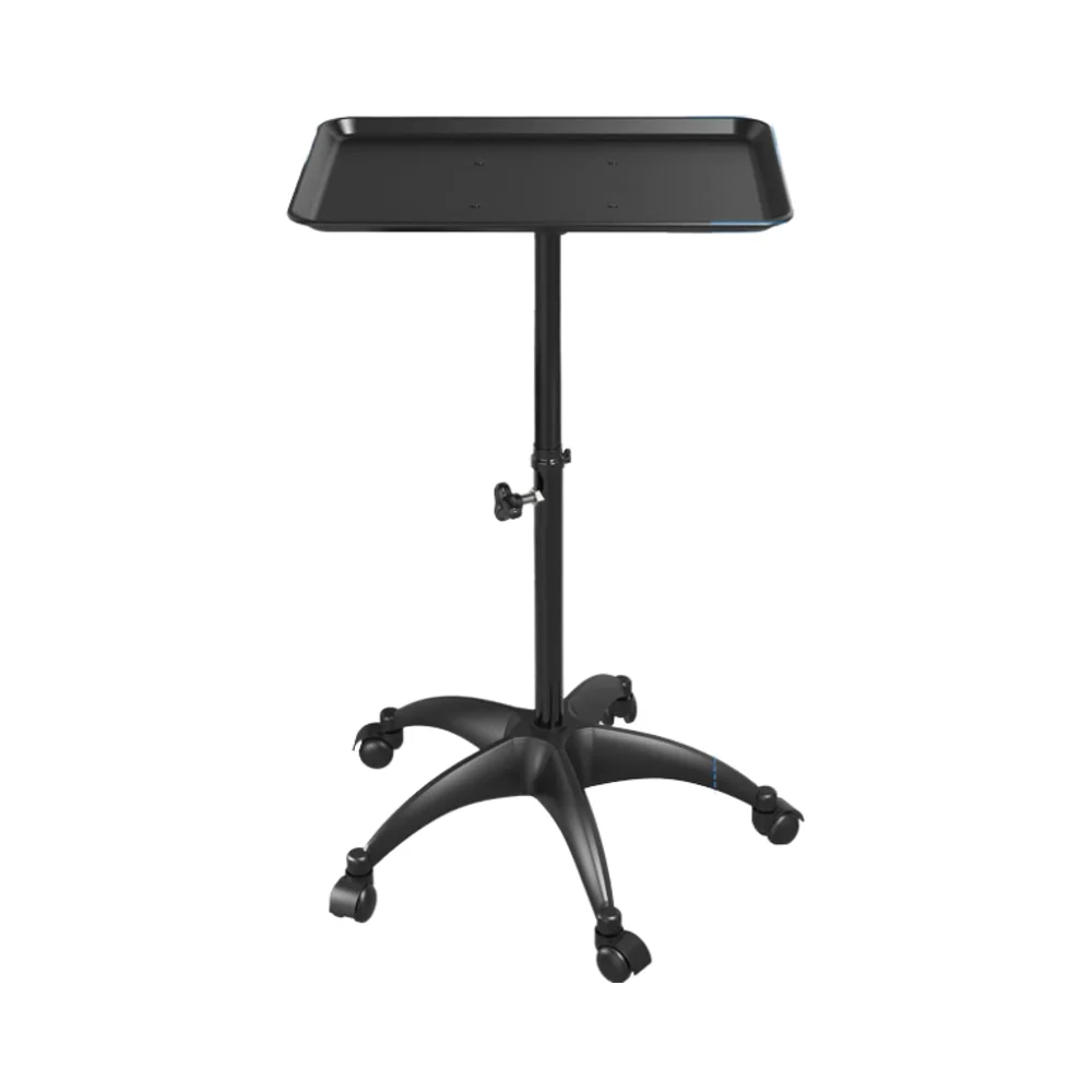 

New Stand Movable Tool Holder Hair Rolling Adjustable Beauty Salon Trolley Cart Beauty Spa Salon Tray Cart Salon Trolley