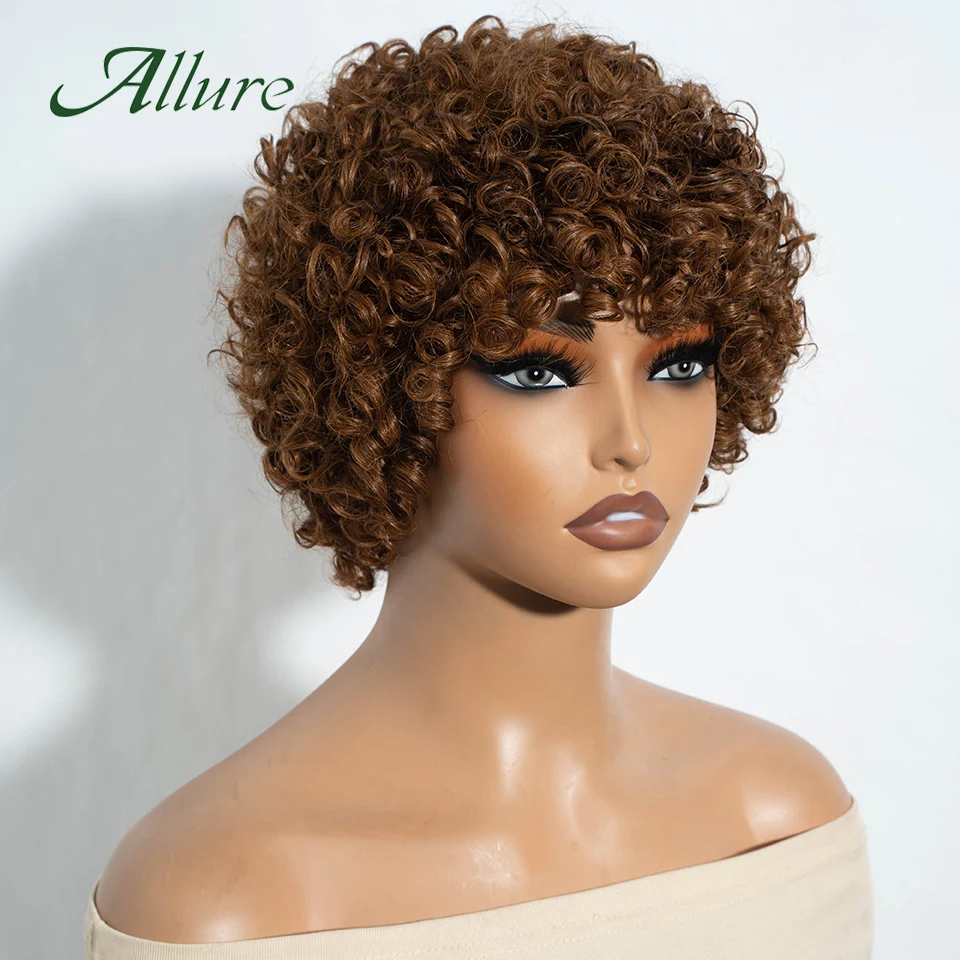 Afro Kinky Curly Hair Human Hair Wig Brazilian Pixies Cut Curly Hair Wigs For Black Women Dark Brown Colored Hair Wig Allure