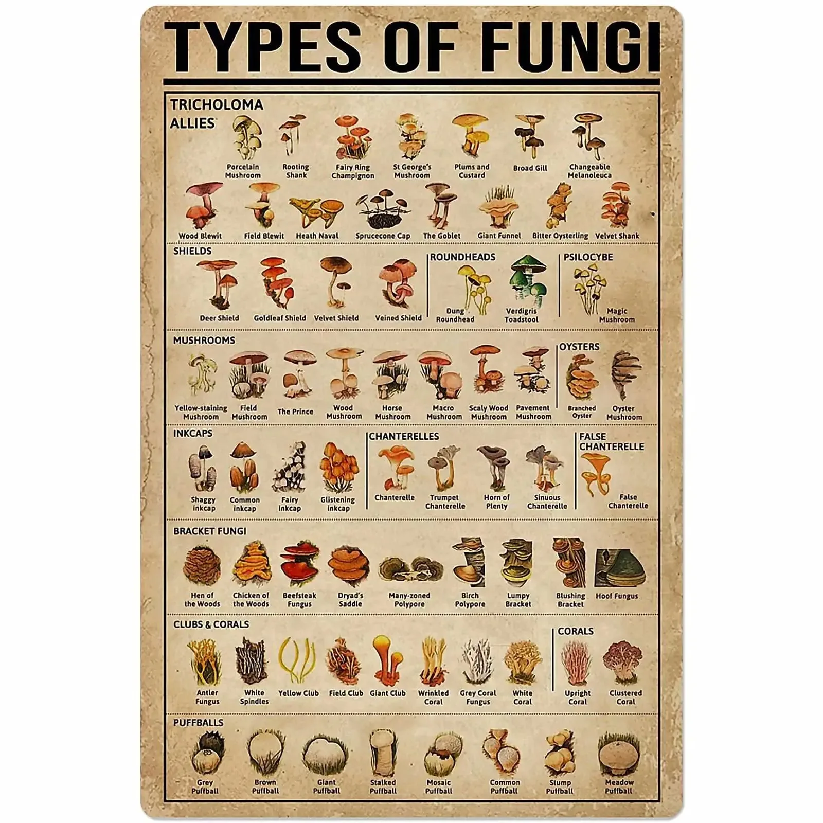 

Types of Fungi Metal Signs Plant Knowledge Posters Garden Decor Wall Decor Home Decor Farm Retro Plaque Wall Decor