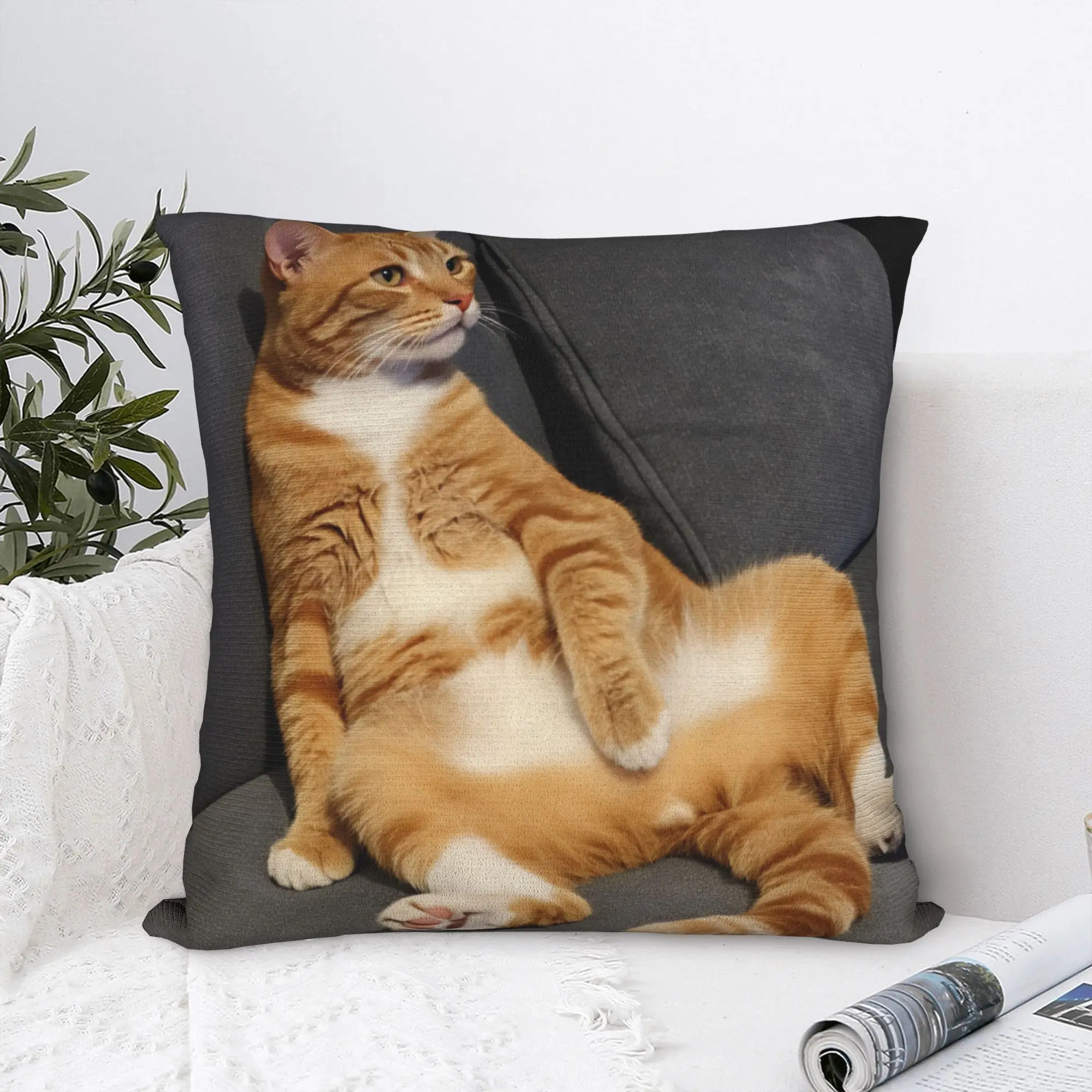 Pillow Cover Lazy Ginger Cat Lounging  Novelty Pillow Case For Sofa Home Decor Pillowcases