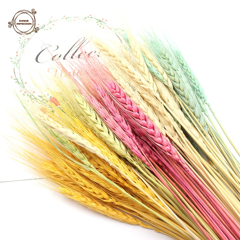 

Natural Dried Flowers Wheat Spikes Country Wedding Decoration Bohe Home Decoration Table Decor Accessories Artificial Flowers