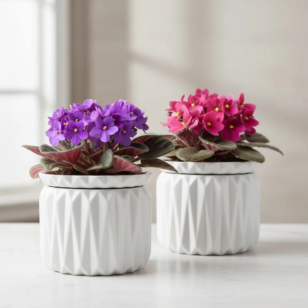 

6 Inch Self Watering Ceramic Plant Pot for African Violets Indoor Plants 3 Weeks Water Supply (2 Pack White)