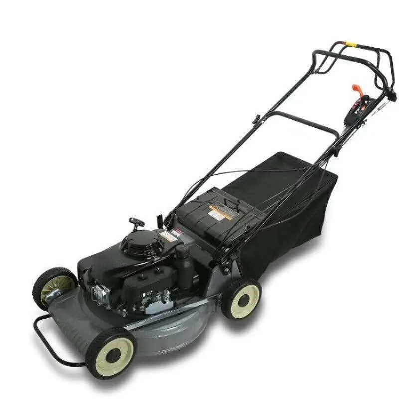 Self-propelled Lawn Mower 21 Inch 163CC 4 Stroke 7 Height Adjustment Gear Large Yard Grass Cutter Extended version