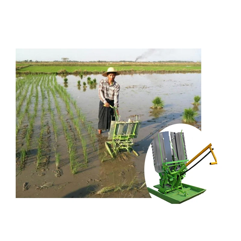 

Hand Held Walking Rice Transplanter Paddy Seedling Planter Crop Seedling Transplanter Planting Machine