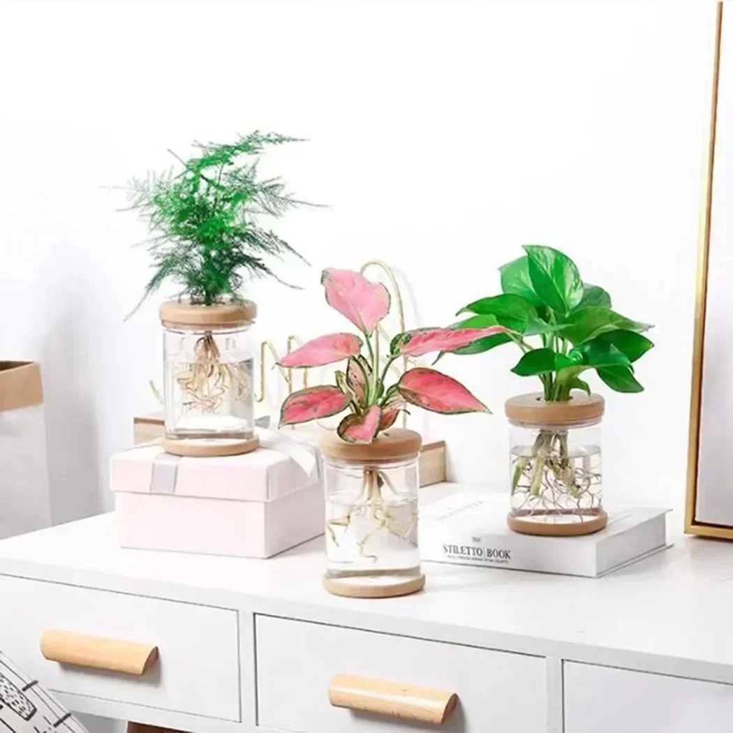 

High Quality Tool Plant Pots Plant Care Accessories Clear Water-saving Components Yard Easy To Use Outdoor Living